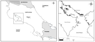 Identification of Drivers of Change of the Gulf of Nicoya Ecosystem (Costa Rica)